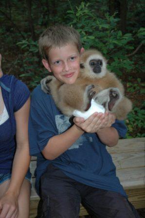 Monkey being held